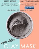 AZTEC SECRET Indian Healing Clay (1 lb)